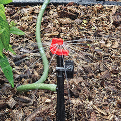 Picture of 7" BLK MICRO BARB STK W/VALVE-3/3 Pack
